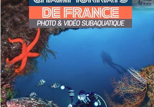 france photo video 2026 ffessm