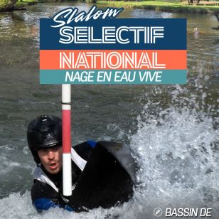 affiches NEV Vichy 2026