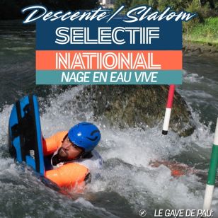 select nat nev 2026 lestelle