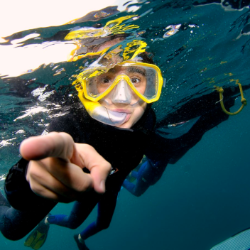 Plonger en sécurité