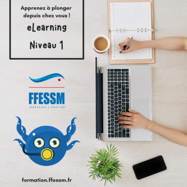Elearning Niveau 1