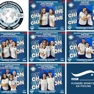 PSP bilan mondiaux 2024